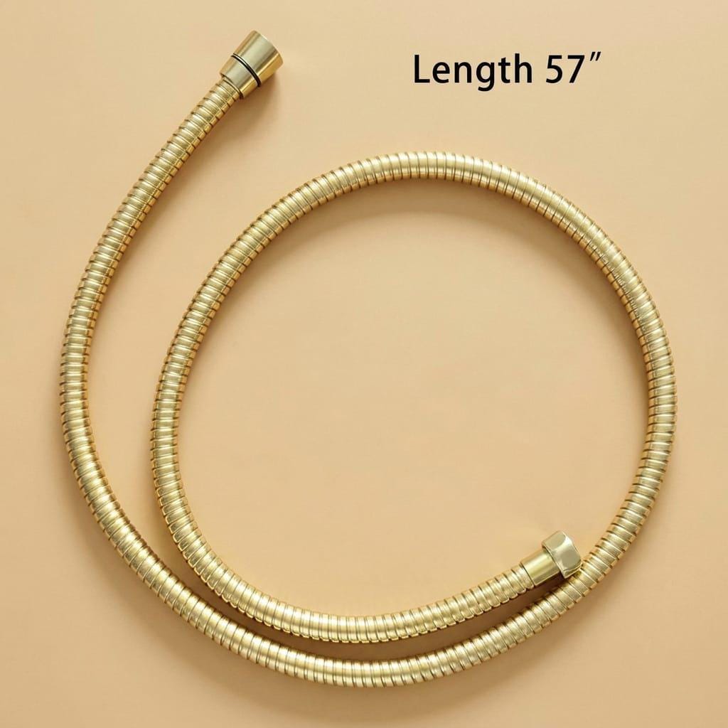 Brass Shower Hose Replacement