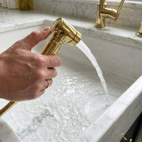 Kitchen Sink Sprayer Brushed Gold – Solid Brass Side Spray with Base – Luxury  Faucet Hardware